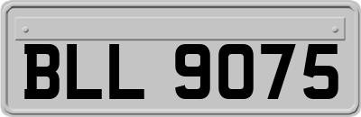 BLL9075
