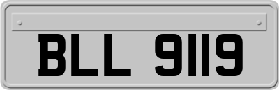 BLL9119