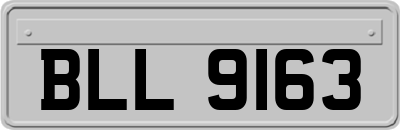 BLL9163