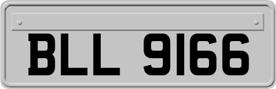 BLL9166