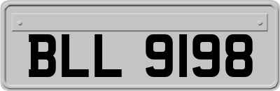 BLL9198