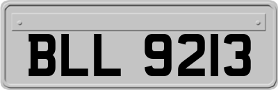 BLL9213