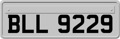 BLL9229
