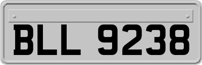 BLL9238