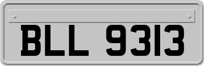 BLL9313