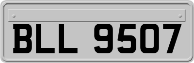 BLL9507