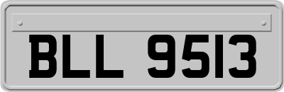 BLL9513