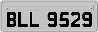 BLL9529