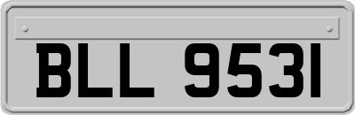 BLL9531