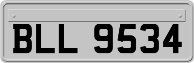 BLL9534