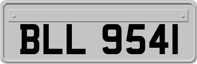 BLL9541