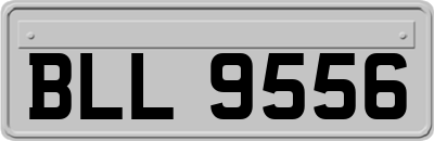 BLL9556
