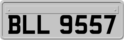 BLL9557