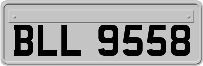 BLL9558