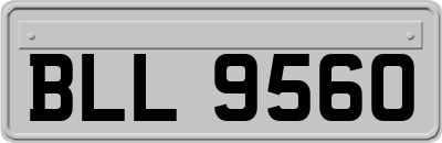 BLL9560