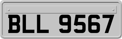BLL9567