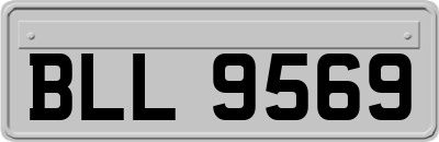BLL9569