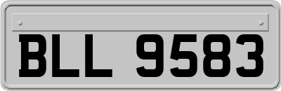 BLL9583