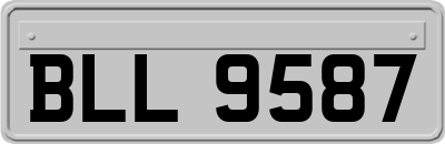 BLL9587