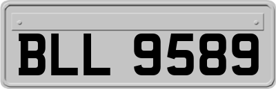 BLL9589