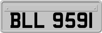 BLL9591