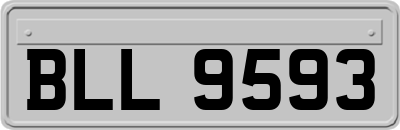 BLL9593
