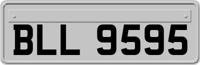 BLL9595