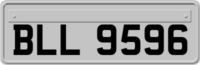 BLL9596