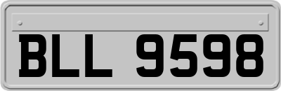 BLL9598