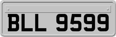 BLL9599