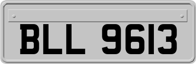 BLL9613