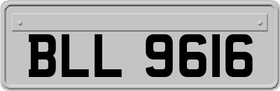 BLL9616
