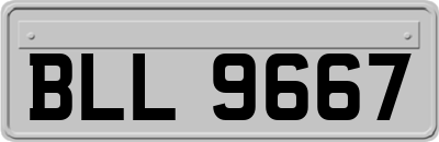 BLL9667