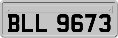 BLL9673