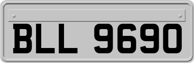 BLL9690