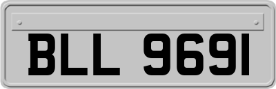 BLL9691