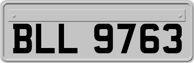 BLL9763