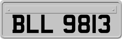 BLL9813