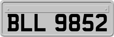BLL9852