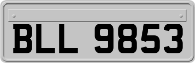 BLL9853