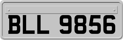 BLL9856