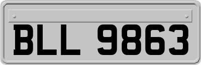 BLL9863