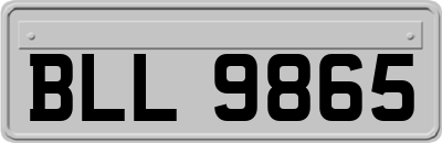 BLL9865