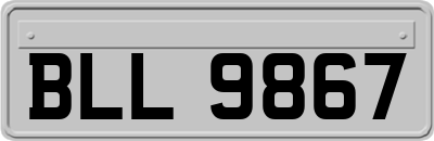 BLL9867