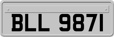 BLL9871