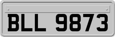 BLL9873