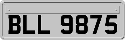BLL9875