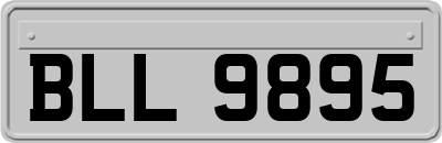 BLL9895