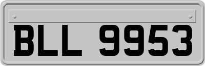 BLL9953