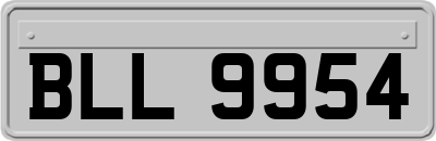 BLL9954